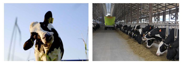 心博（中国）丨每天一杯奶，幸福健康喝出来！！！