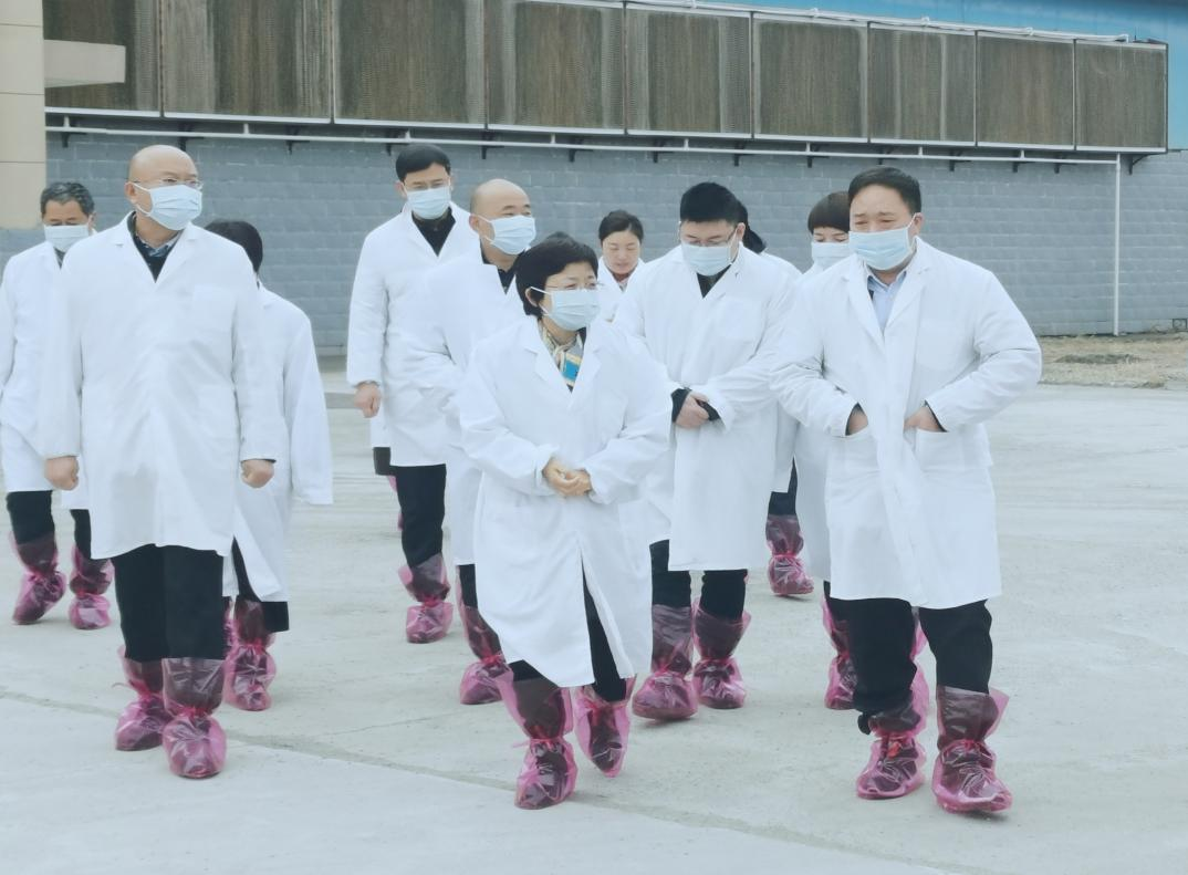 河南省郑州市人民政府副市长李凤芝一行莅临心博（中国）河南瑞亚参观调研