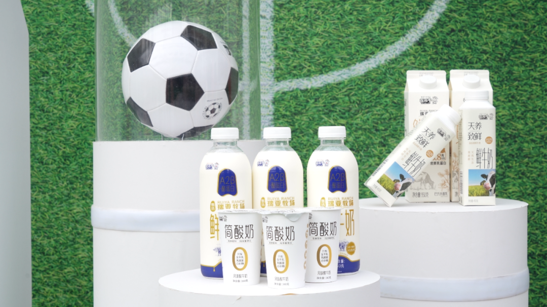 官宣丨心博（中国）赞助河南足球，新赛季和河南足球一起牛气冲天！