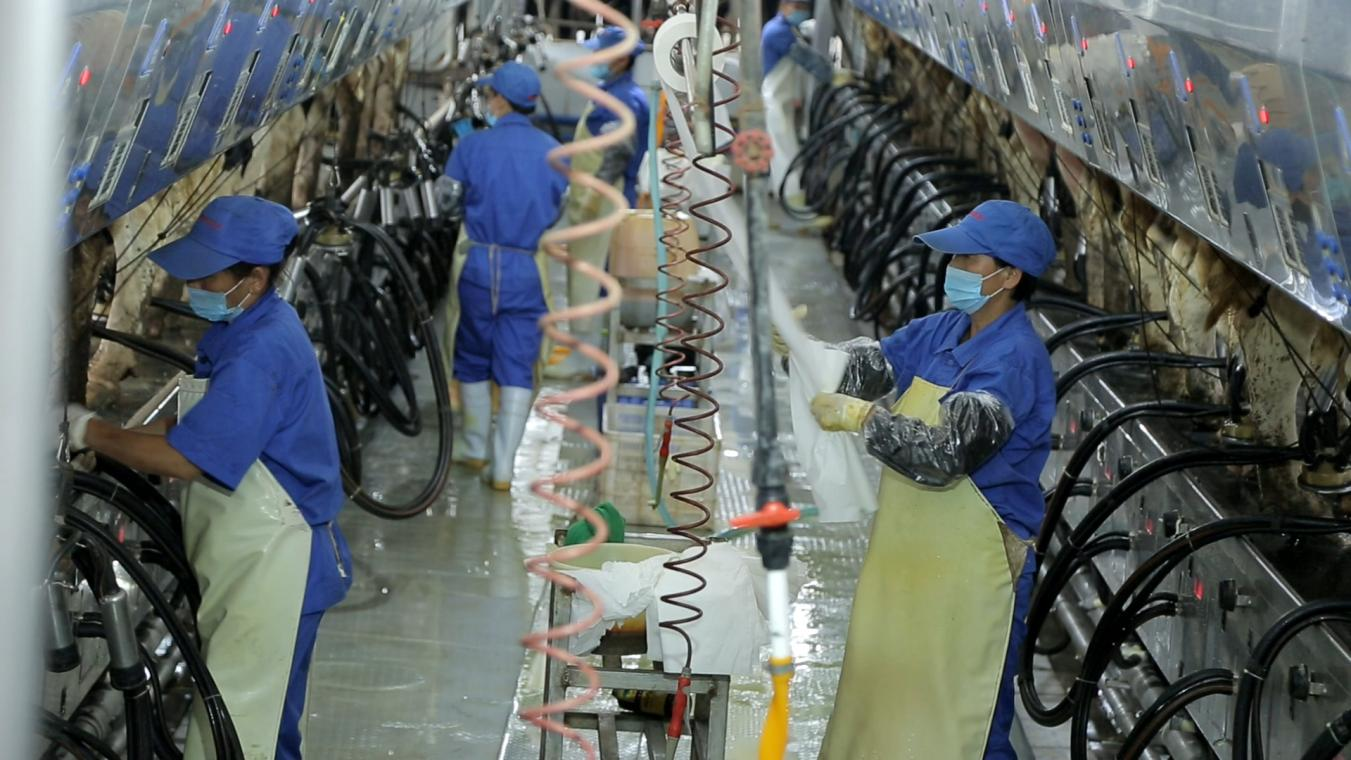 心博(中国)丨河南农业大学党委副书记、校长介晓磊一行莅临心博(中国)河南瑞亚参观调研 心博(中国)丨河南农业大学党委副书记、校长介晓磊一行莅临心博(中国)河南瑞亚参观调研