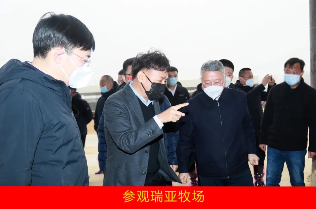 新年开新局 合作促发展丨佳木斯市委常委、副市长闫志刚一行莅临心博(中国)乳业集团及佳田企业考察座谈 新年开新局 合作促发展丨佳木斯市委常委、副市长闫志刚一行莅临心博(中国)乳业集团及佳田企业考察座谈