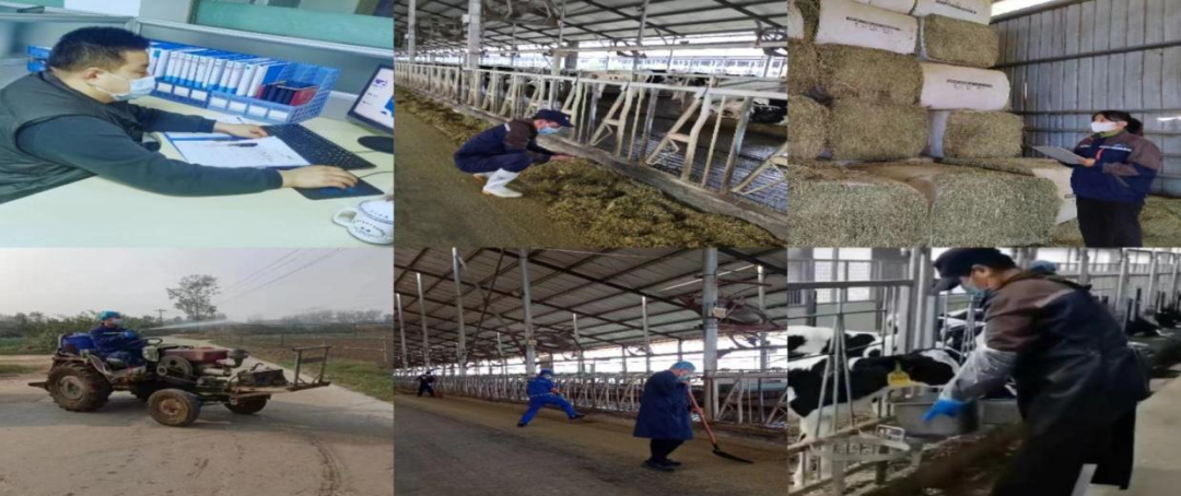 @全体心博(中国)人:请珍惜你的岗位,请善待我们共同的“心博(中国)”! @全体心博(中国)人:请珍惜你的岗位,请善待我们共同的“心博(中国)”!