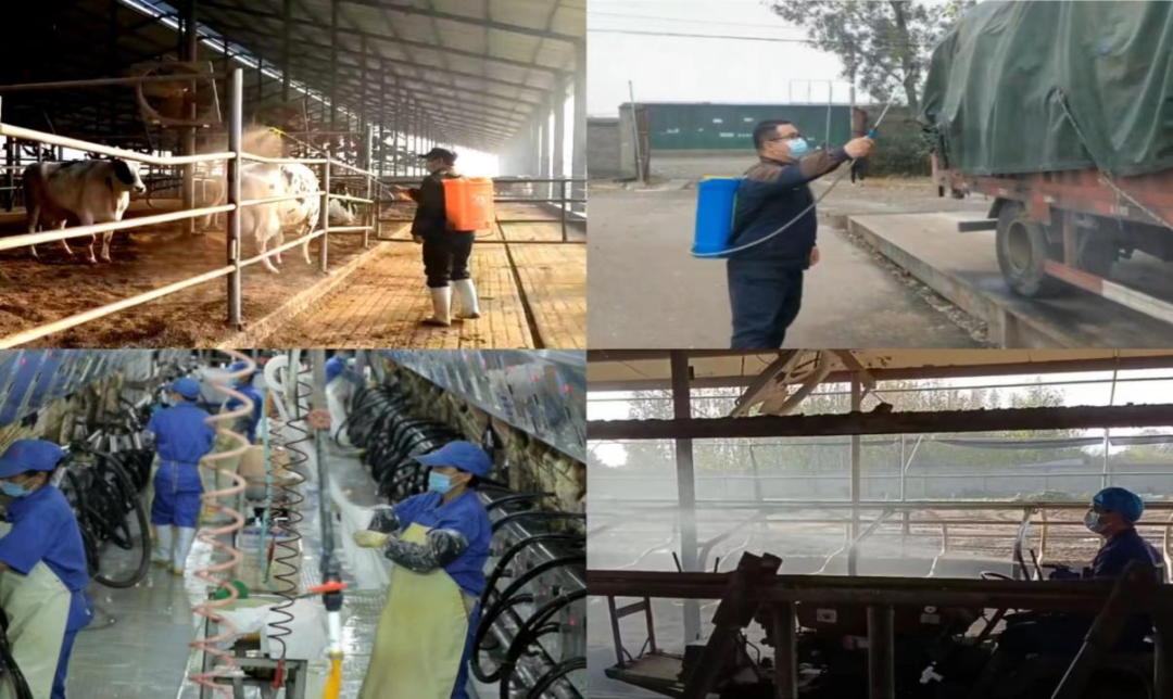 @全体心博(中国)人:请珍惜你的岗位,请善待我们共同的“心博(中国)”! @全体心博(中国)人:请珍惜你的岗位,请善待我们共同的“心博(中国)”!