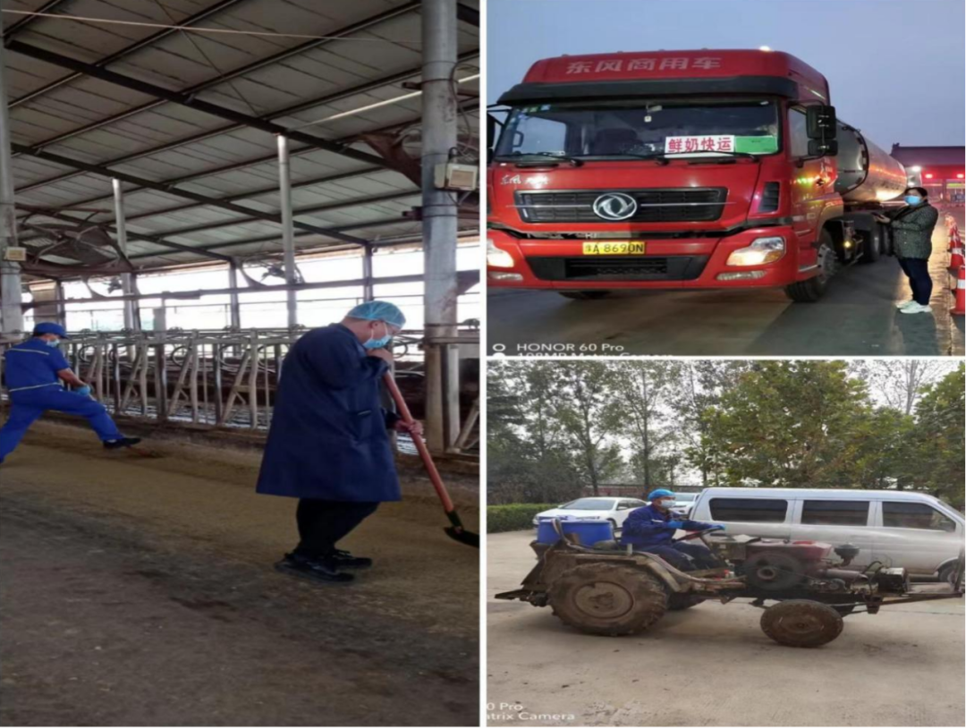 心博(中国)丨点点微光汇星河——养殖事业部抗疫保生产侧记 心博(中国)丨点点微光汇星河——养殖事业部抗疫保生产侧记