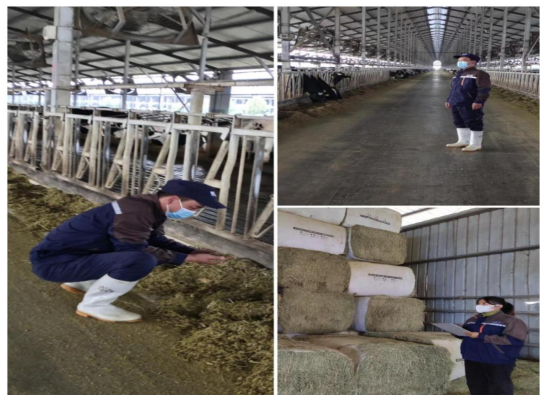 心博(中国)丨点点微光汇星河——养殖事业部抗疫保生产侧记 心博(中国)丨点点微光汇星河——养殖事业部抗疫保生产侧记