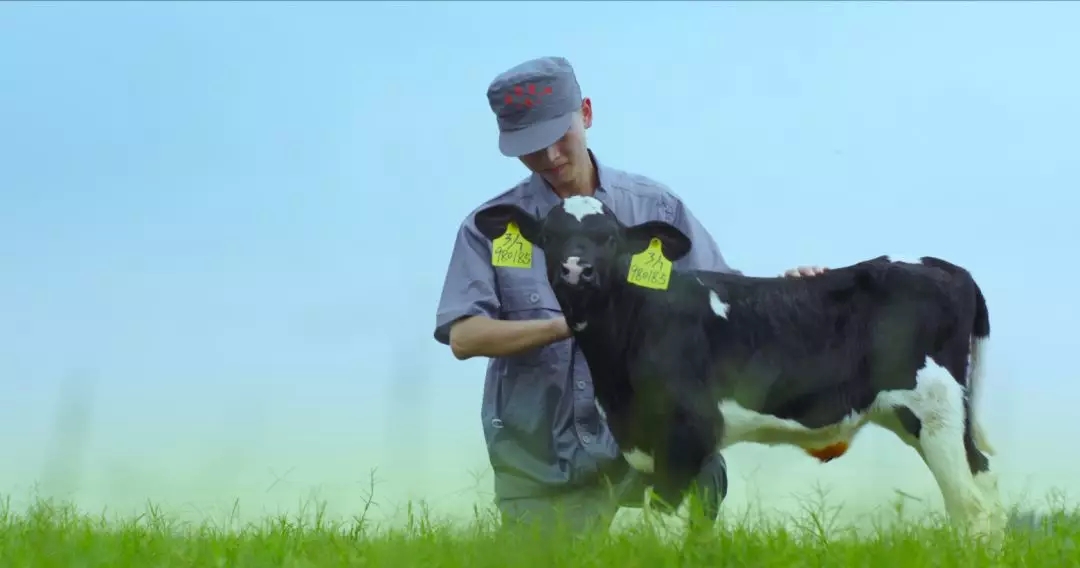 河南省人大常委会党组书记、副主任孔昌生莅临心博（中国）鲁山瑞亚牧场参观调研