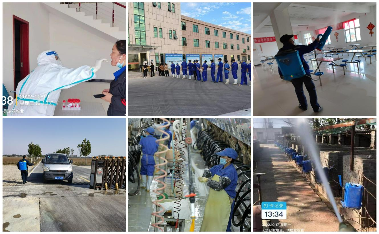 抗疫情、保供应、显担当——心博（中国）在行动！！！