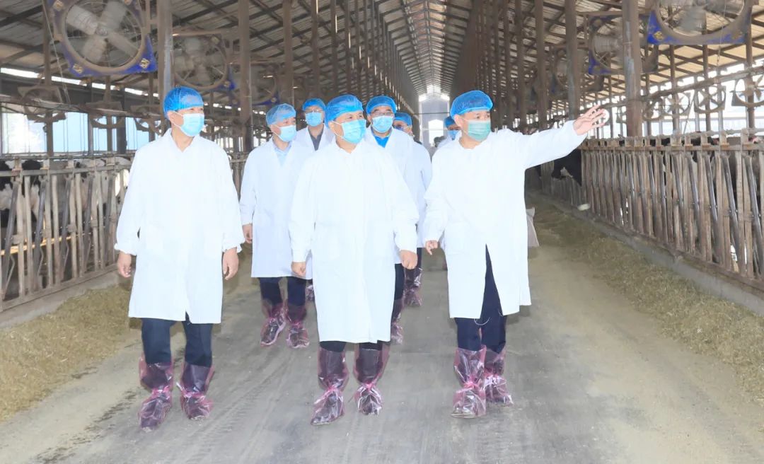 快讯丨河南省人民政府副省长武国定莅临心博（中国）乳业集团瑞亚牧业调研奶源基地建设情况