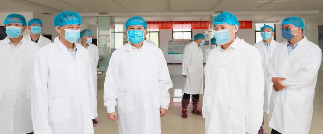 快讯丨河南省人民政府副省长武国定莅临心博（中国）乳业集团瑞亚牧业调研奶源基地建设情况