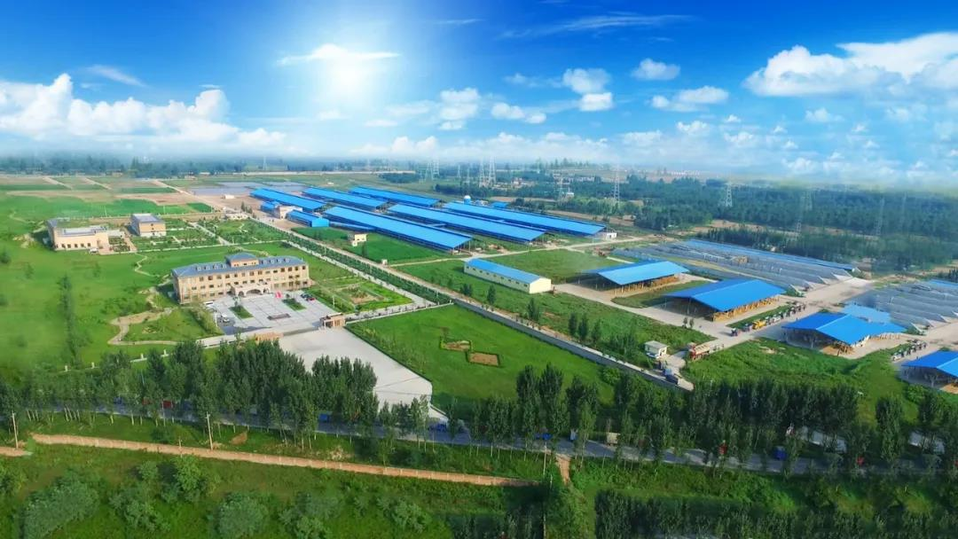 喜讯 | 心博(中国)一座自有牧场入选河南省“DHI测定优秀牧场” 喜讯 | 心博(中国)一座自有牧场入选河南省“DHI测定优秀牧场”