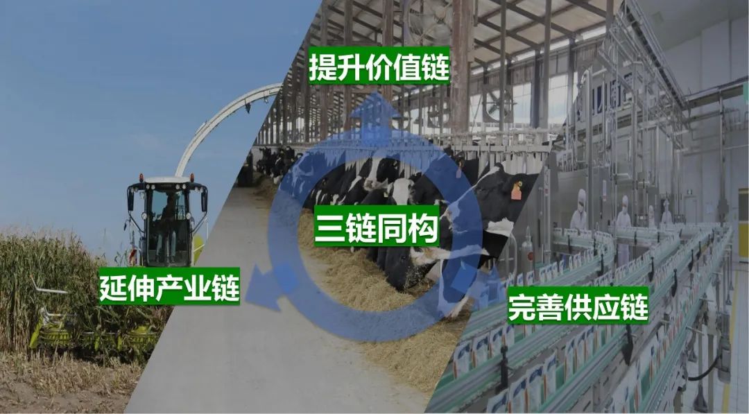 佳木斯市招商考察团莅临心博(中国)考察座谈 佳木斯市招商考察团莅临心博(中国)考察座谈