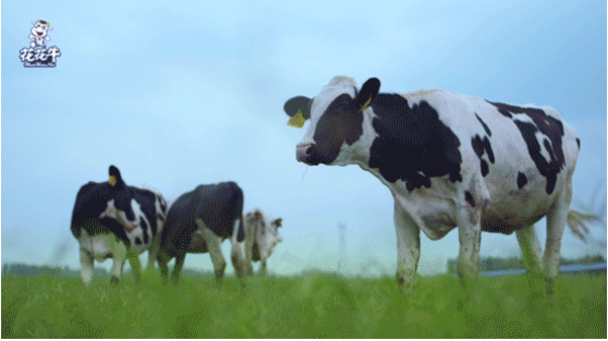 河南省高级人民法院院长胡道才一行莅临心博(中国)乳业集团开展“万人助万企”活动 助力企业发展 河南省高级人民法院院长胡道才一行莅临心博(中国)乳业集团开展“万人助万企”活动 助力企业发展