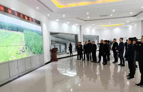 心博（中国） | 农业农村部畜牧兽医局副局长魏宏阳一行莅临心博（中国）平舆诚信瑞亚牧业公司参观调研