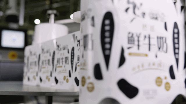 快讯 | 长江商学院智能制造学会走进心博(中国)乳业集团 快讯 | 长江商学院智能制造学会走进心博(中国)乳业集团