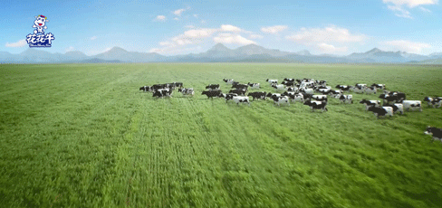 快讯 | 湖北省农业厅副厅长王海涛等领导一行莅临河南心博（中国）乳业集团参观调研