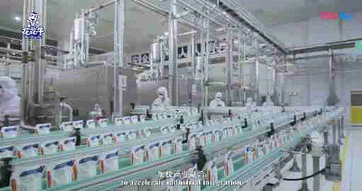 快讯 | 湖北省农业厅副厅长王海涛等领导一行莅临河南心博（中国）乳业集团参观调研