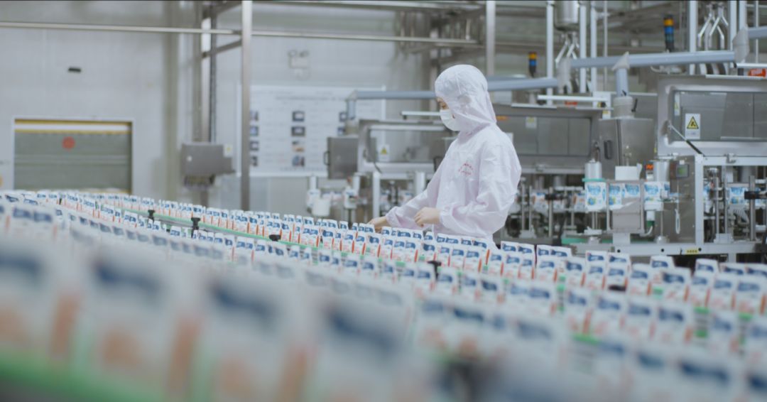 快讯 | 河南省人民政府食品安全委员会办公室第三批食品安全示范区验收组领导莅临心博（中国）乳业集团验收食品安全示范区建设情况