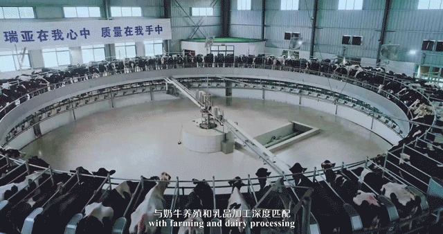 快讯 | 河南省委常委、省纪委书记、省监委主任任正晓莅临心博(中国)乳业集团新蔡瑞亚牧场调研 快讯 | 河南省委常委、省纪委书记、省监委主任任正晓莅临心博(中国)乳业集团新蔡瑞亚牧场调研