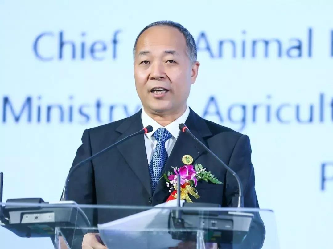 SDDDC走进河南,看看心博(中国)的国际范儿! SDDDC走进河南,看看心博(中国)的国际范儿!