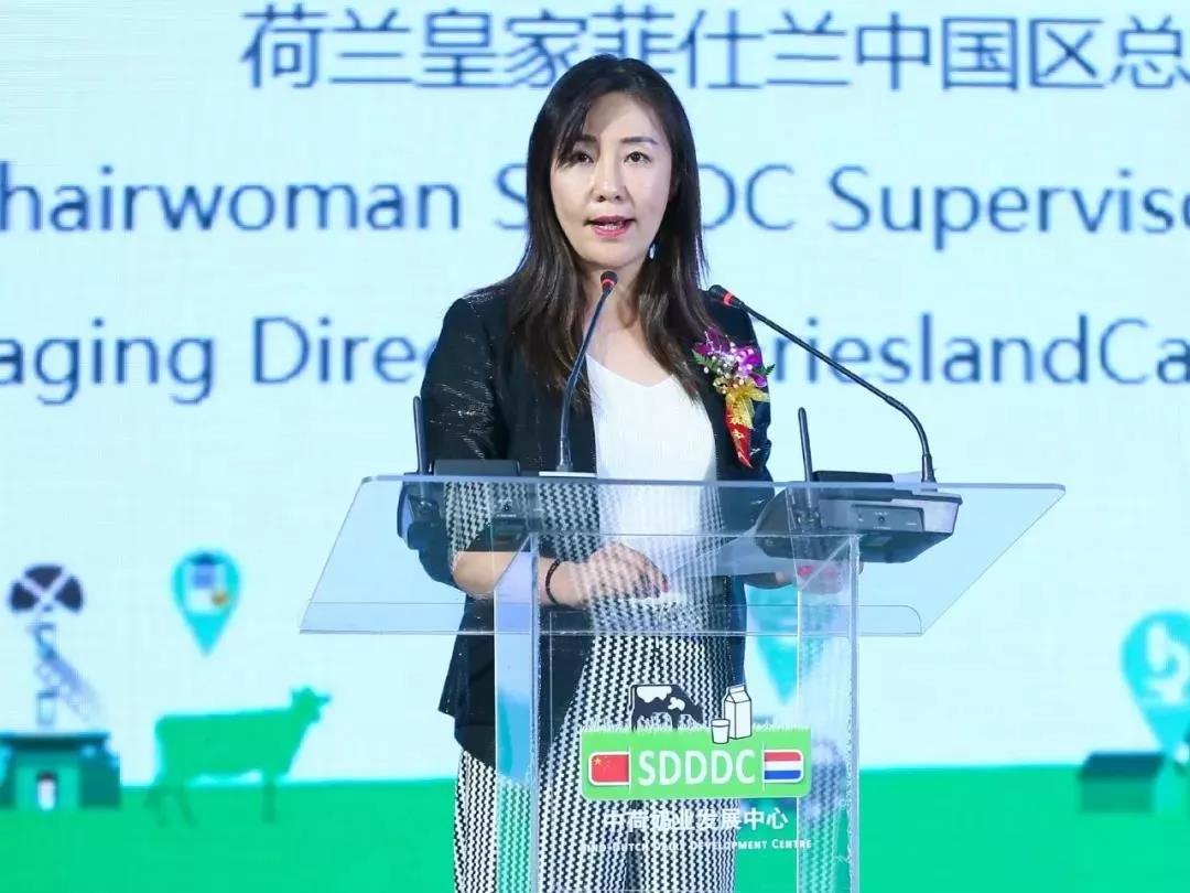 SDDDC走进河南,看看心博(中国)的国际范儿! SDDDC走进河南,看看心博(中国)的国际范儿!