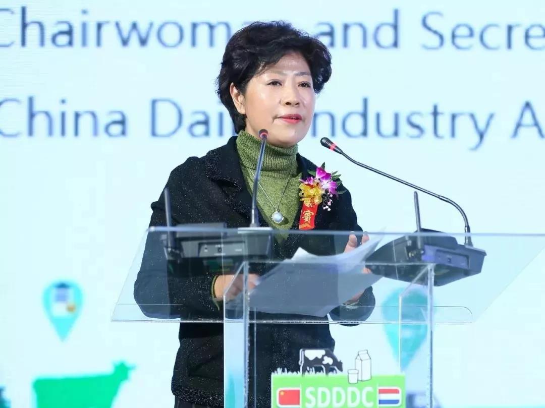 SDDDC走进河南,看看心博(中国)的国际范儿! SDDDC走进河南,看看心博(中国)的国际范儿!