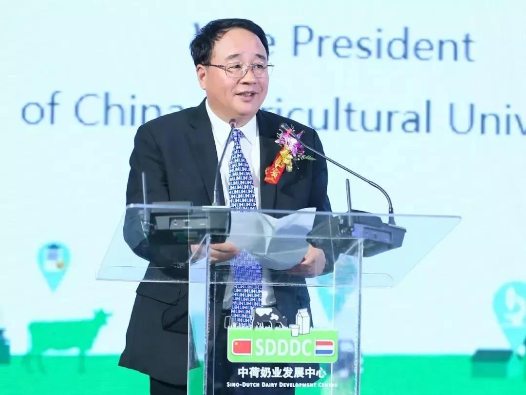 SDDDC走进河南,看看心博(中国)的国际范儿! SDDDC走进河南,看看心博(中国)的国际范儿!