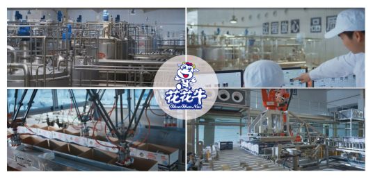 荣获全国“质量月”五项大奖,心博(中国)真牛! 荣获全国“质量月”五项大奖,心博(中国)真牛!