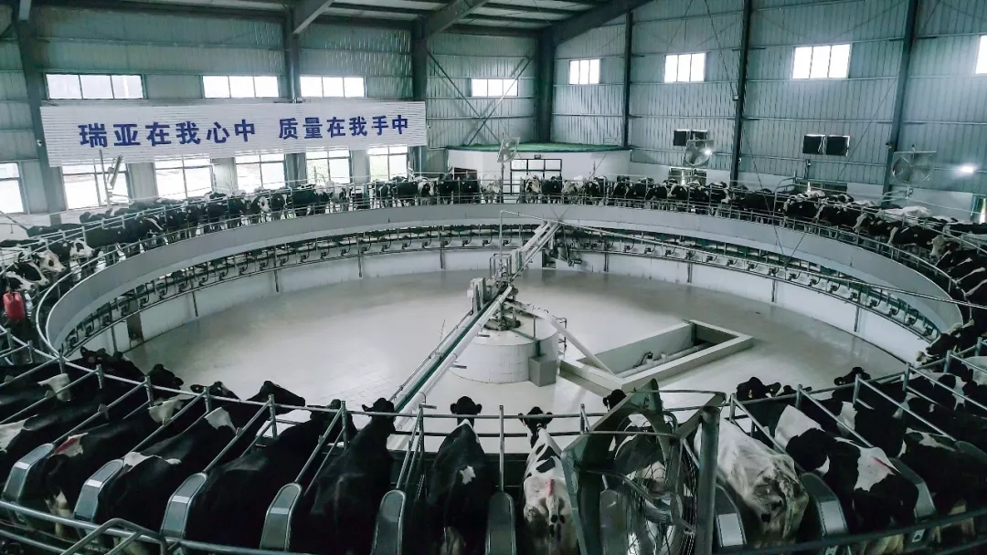 省委书记王国生到河南心博(中国)乳业集团·新蔡瑞亚牧业有限公司调研 省委书记王国生到河南心博(中国)乳业集团·新蔡瑞亚牧业有限公司调研