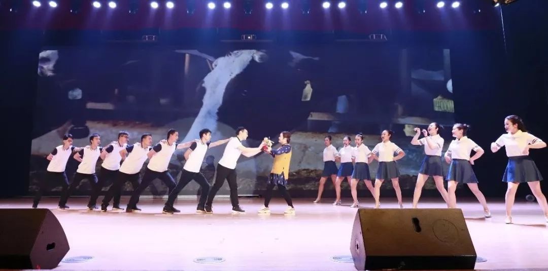 “赢在2019”，心博（中国）乳业集团2019年新春晚会盛大开幕