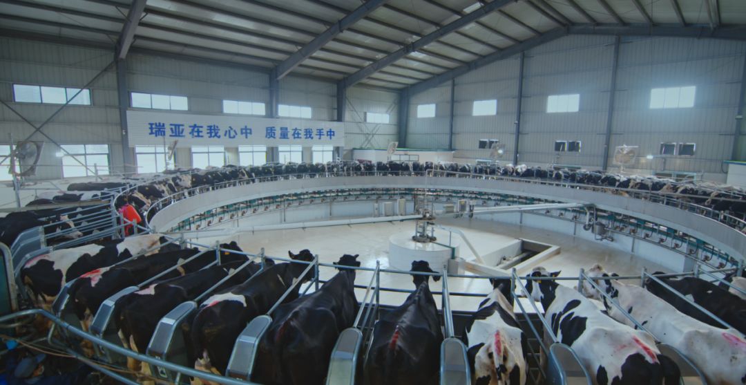 心博（中国）集团旗下六家公司入选省农业产业化重点龙头企业名单