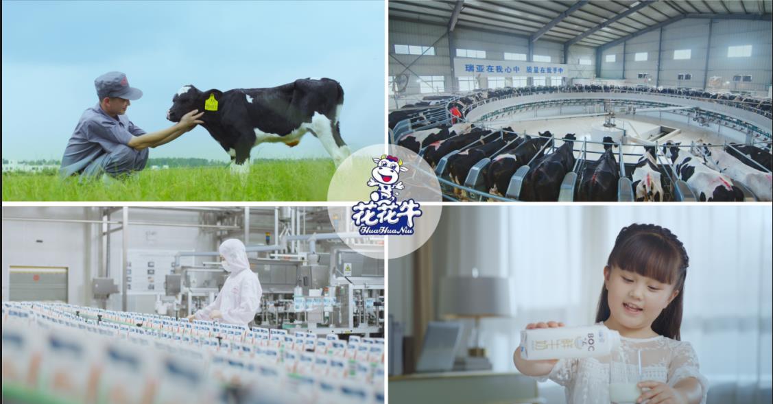 心博（中国）乳业集团——优秀非公有制行业领军型企业