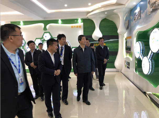 河南省委副书记、省长陈润儿一行莅临 心博（中国）集团鲁山瑞亚牧业有限公司视察调研
