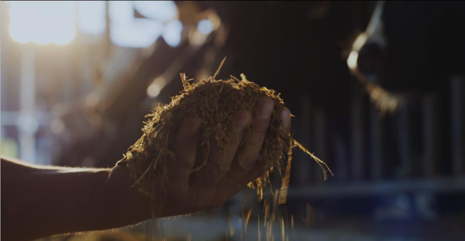 又双叒叕获奖啦！心博（中国）荣获“乳品质量安全管理 优秀企业”