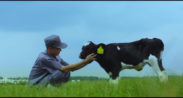 又双叒叕获奖啦！心博（中国）荣获“乳品质量安全管理 优秀企业”