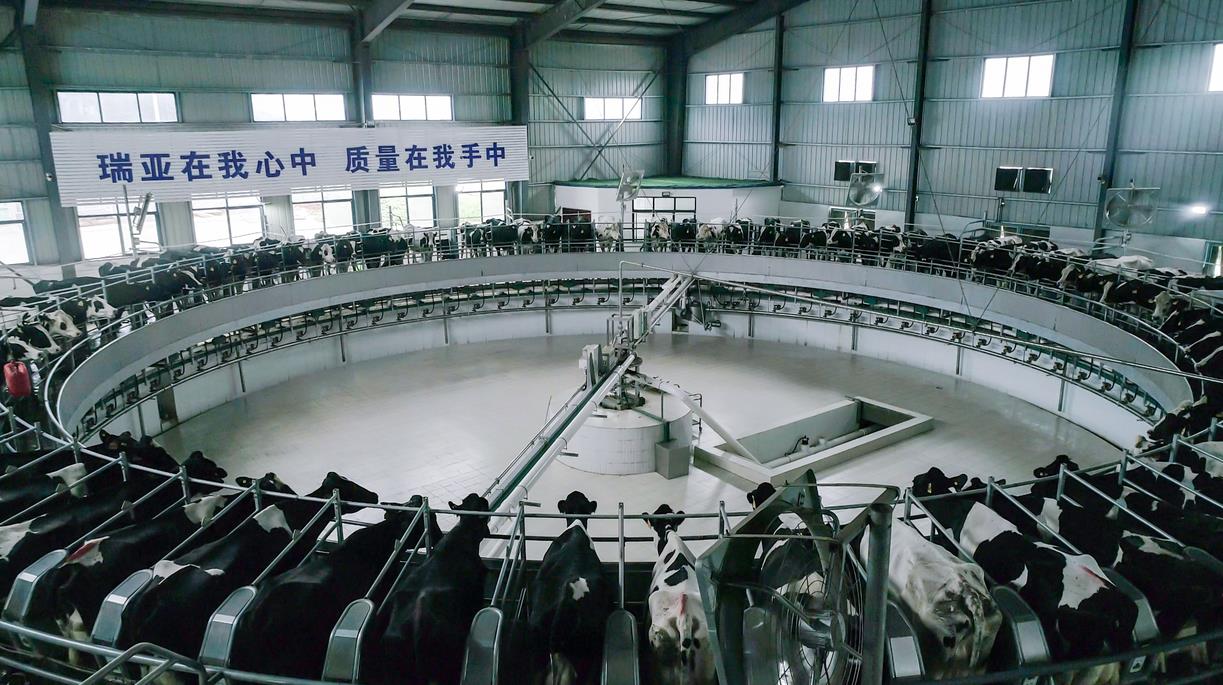 又双叒叕获奖啦！心博（中国）荣获“乳品质量安全管理 优秀企业”