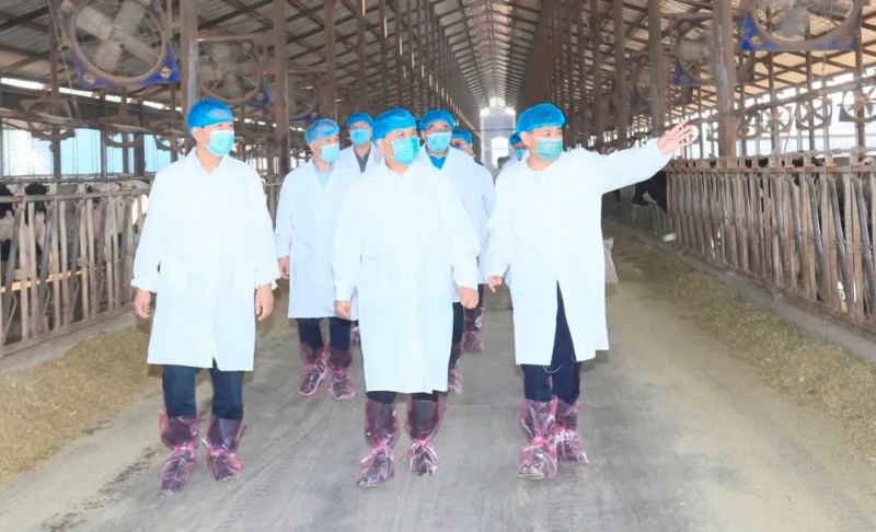 快讯丨河南省人民政府副省长武国定莅临心博（中国）乳业集团瑞亚牧业调研奶源基地建设情况