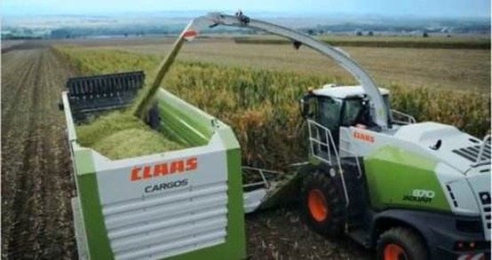 心博在线客服 2020年玉米青贮采购信息