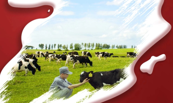 喜报！心博（中国）董事长关晓彦再获”优 秀企业家”称号