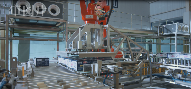 心博（中国）亮相2018人工智能产业发展高峰论坛